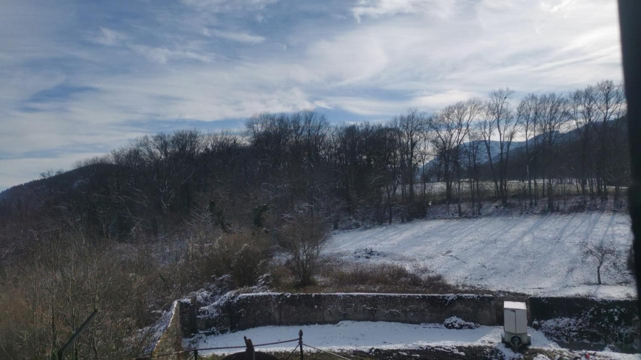 Chateau Montegut Rustique المظهر الخارجي الصورة