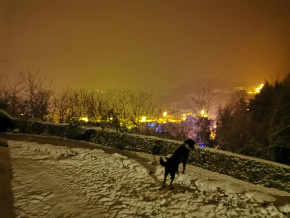 Chateau Montegut Rustique المظهر الخارجي الصورة
